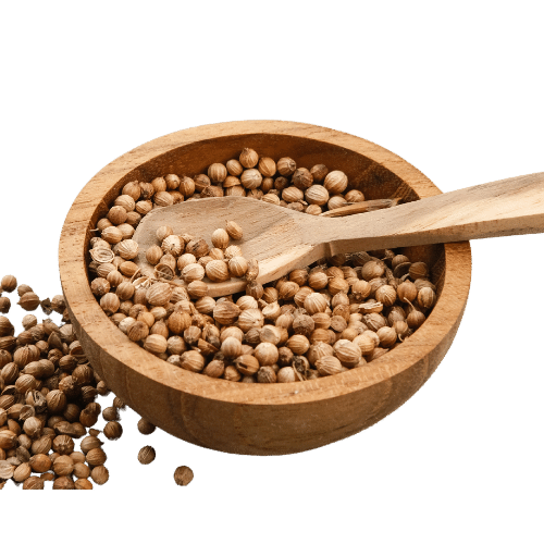 Coriander Seeds